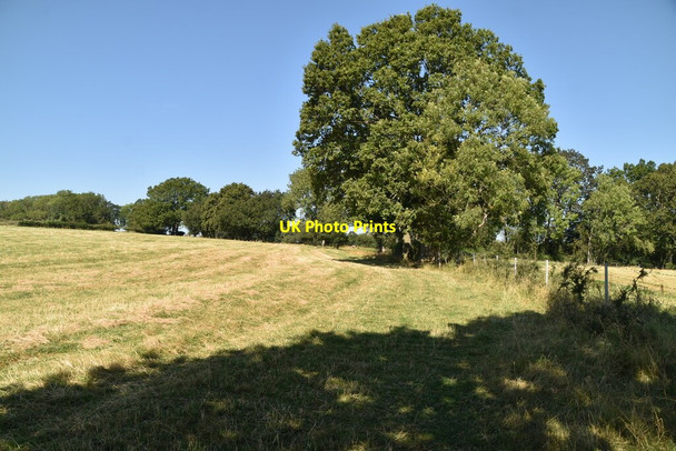 Photo 6"x4" Sussex Border Path Hammerwood c2021