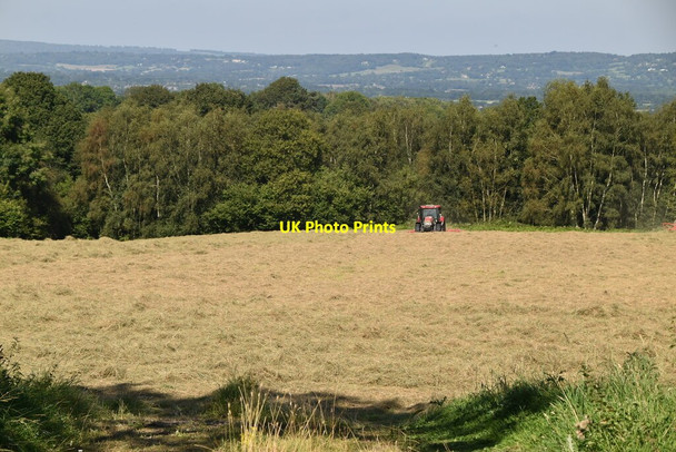 Photo 6"x4" Mowing the grass Horshoe Green c2021