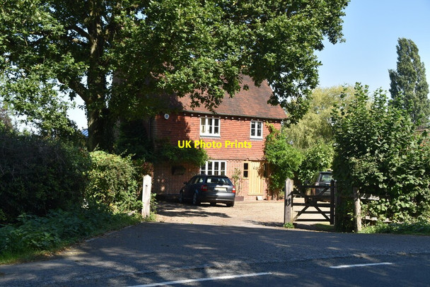 Photo 6"x4" Buckhurst Cottage Horshoe Green c2021