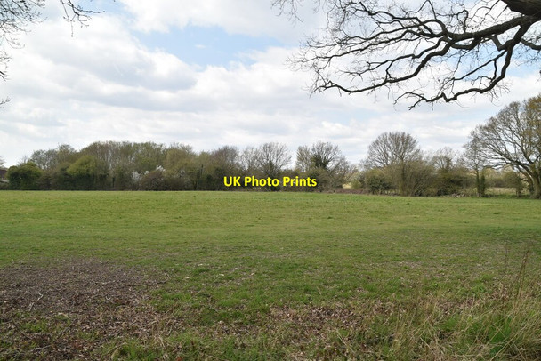 Photo 6"x4" Field on the edge of Tenterden Tenterden c2021