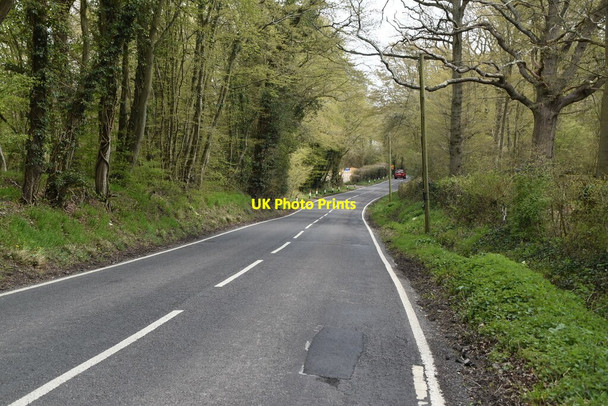 Photo 6"x4" Woodchurch Rd Tenterden c2021 P3