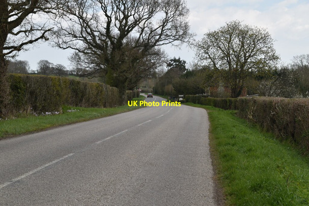 Photo 6"x4" Brook St Robhurst c2021 P2
