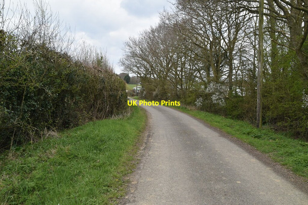 Photo 6"x4" Narrow country lane near Balcony Farm Brook Street\/TQ9333 c2021 P1
