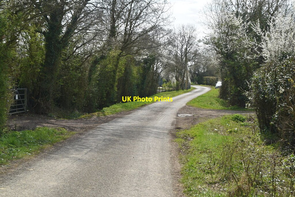 Photo 6"x4" Rural lane Brook Street\/TQ9333 c2021