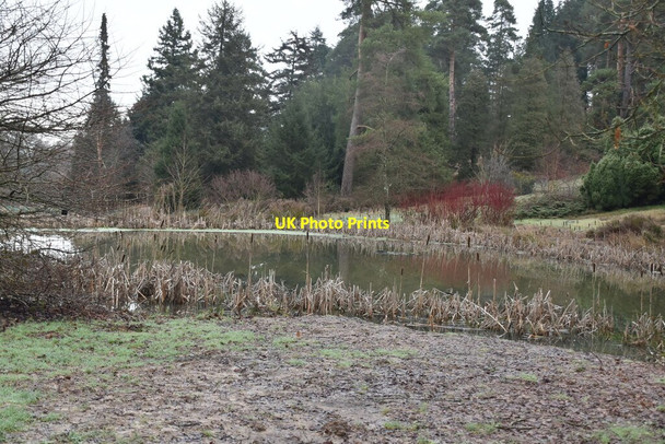 Photo 6"x4" Pond, Bedgebury Pinetum Bedgebury Cross c2021
