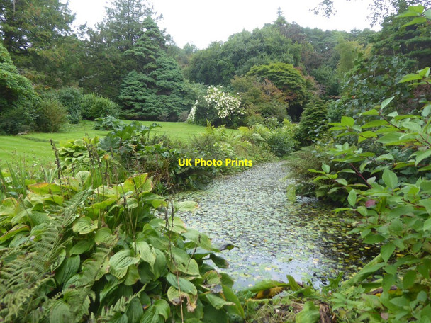 Photo 6"x4" Pond at Arduaine Gardens Arduaine c2021