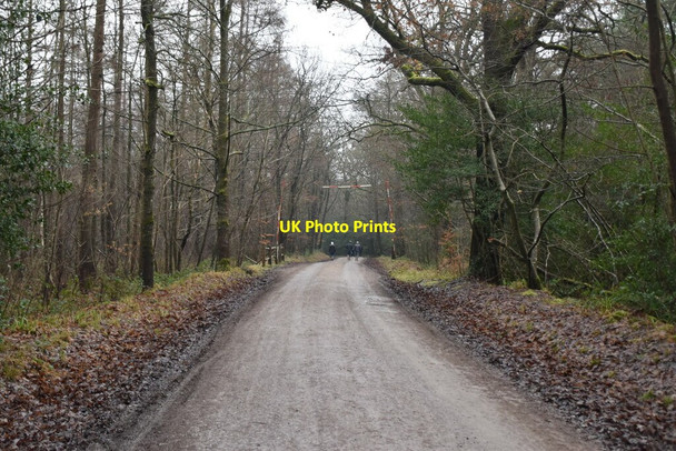 Photo 6"x4" Park Lane Bedgebury Cross c2021