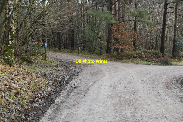 Photo 6"x4" National Cycleroute 18 Bedgebury Cross c2021