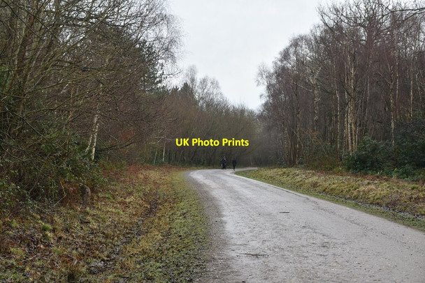 Photo 6"x4" National Cycleroute 18 Bedgebury Cross c2021