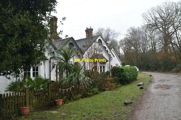 Photo 6"x4" Louisa Lodge Bedgebury Cross c2021