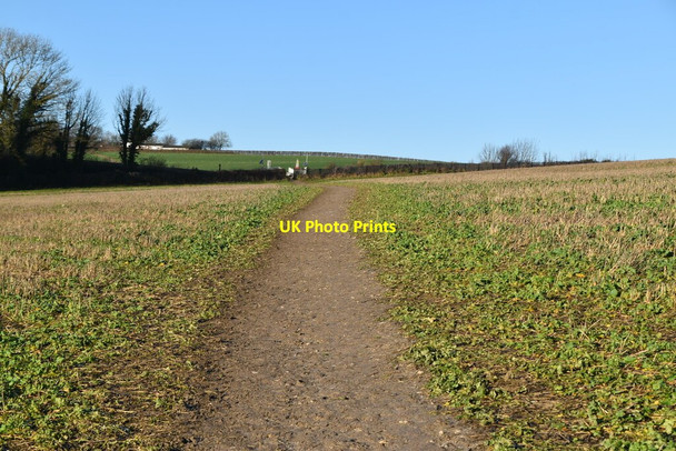 Photo 6"x4" Darent Valley Path Eynsford c2021