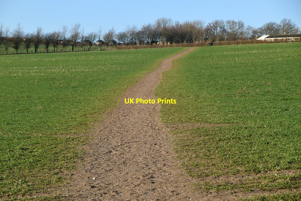 Photo 6"x4" Darent Valley Path Eynsford c2021