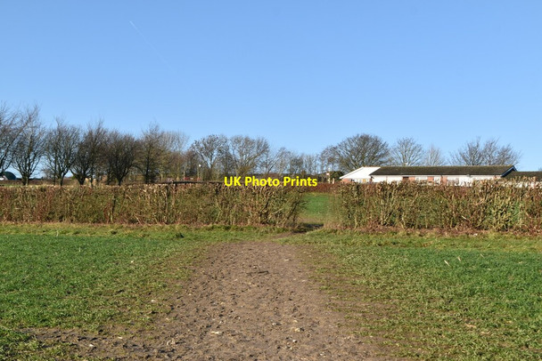 Photo 6"x4" Darent Valley Path Eynsford c2021 P1