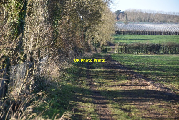 Photo 6"x4" Field boundary footpath Eynsford c2021