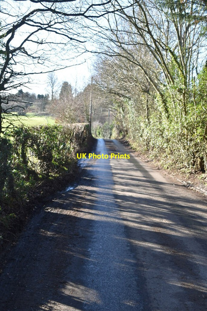 Photo 6"x4" Well Hill Maypole\/TQ4963 c2021