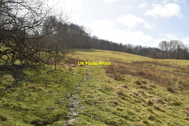 Photo 6"x4" Muddy byway Punnett's Town c2021