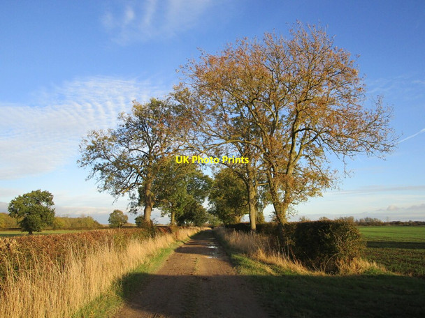 Photo 6"x4" Holme Lane, Normanton on Trent Low Marnham c2021