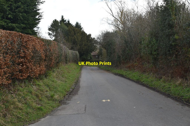 Photo 6"x4" Flitterbrook Lane Punnett's Town c2021