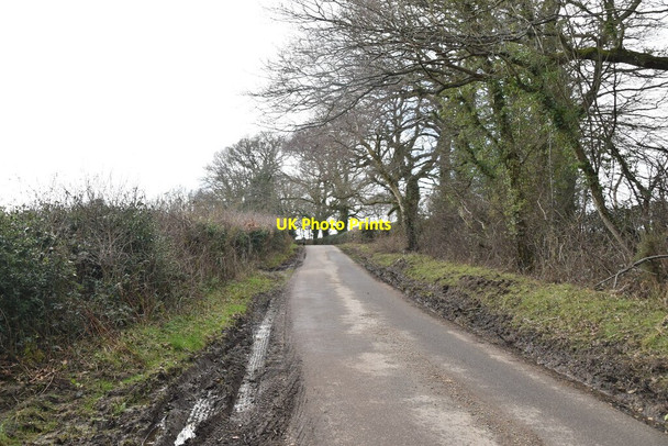 Photo 6"x4" Barley Mow Lane Chapel Cross\/TQ6120 c2021 P1