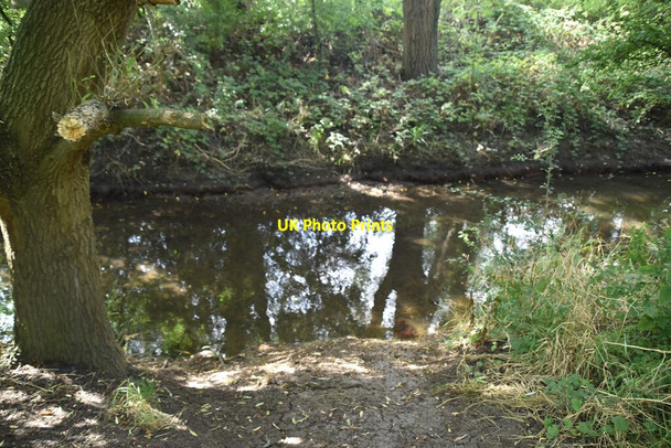 Photo 6"x4" Yeading Brook Ruislip c2021