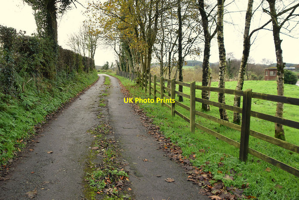 Photo 6"x4" Timber fence along Tycanny Road Garvaghy c2021