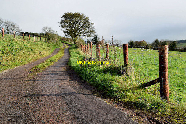 Photo 6"x4" Raogan Road Garvaghy c2021