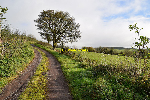 Photo 6"x4" Rarogan Road, Tycanny Garvaghy c2021