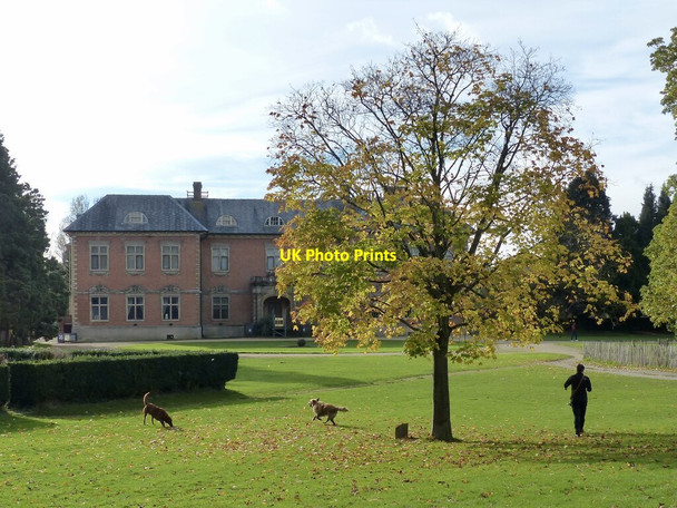 Photo 6"x4" Exercising the dogs, Tredegar House Country Park Duffryn\/ST2985 c2021