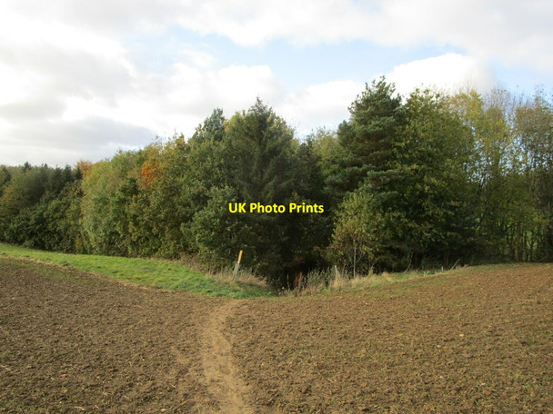 Photo 6"x4" Bridleway to Rolleston Rolleston\/SK7300 c2021