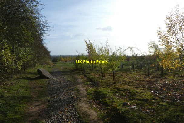 Photo 6"x4" Path on Kimberlow Hill Grimston\/SE6451 c2021