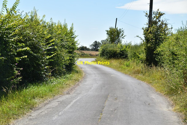 Photo 6"x4" Quiet Romney Marsh lane Newchurch\/TR0531 c2020