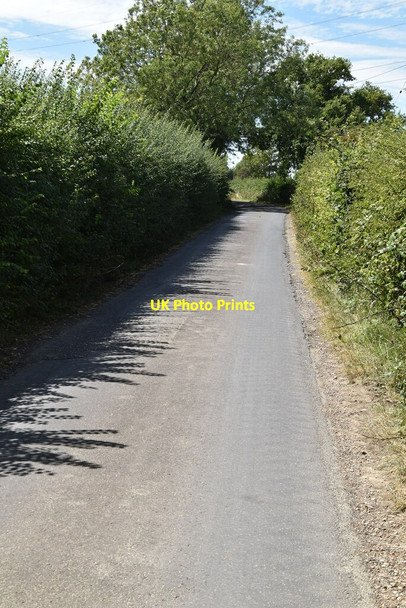 Photo 6"x4" Lane west of Honeywood Farm Newchurch\/TR0531 c2020