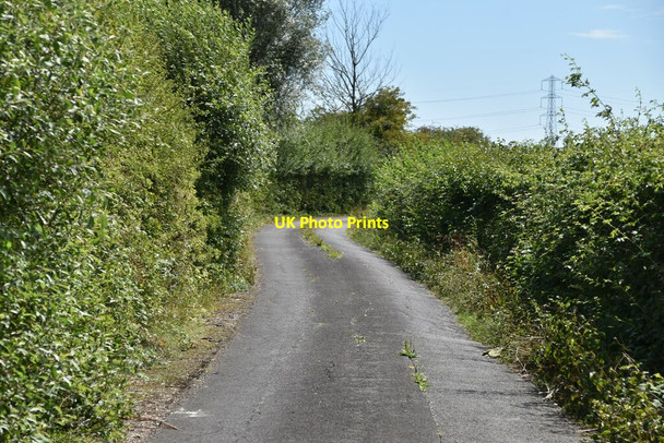 Photo 6"x4" Wills Lane Newchurch\/TR0531 c2020