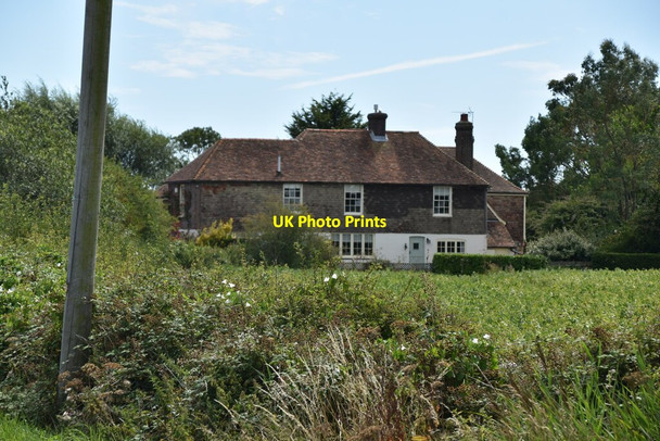Photo 6"x4" Pear Tree Farmhouse Newchurch\/TR0531 c2020