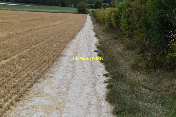 Photo 6"x4" The North Downs Way Wye c2020
