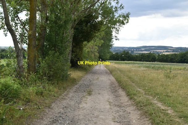 Photo 6"x4" The North Downs Way Wye c2020