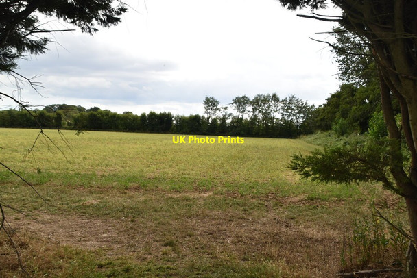 Photo 6"x4" By the North Downs Way near Wye Wye c2020