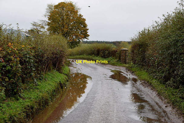 Photo 6"x4" Water lying along Camowen Road Omagh c2021