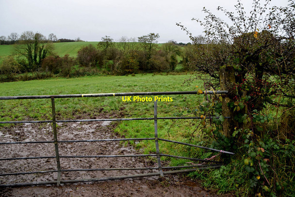Photo 6"x4" A gate to muddy field, Camowen Beragh c2021