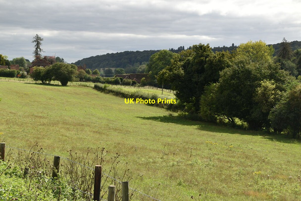 Photo 6"x4" The Hambleden Valley Colstrope c2020
