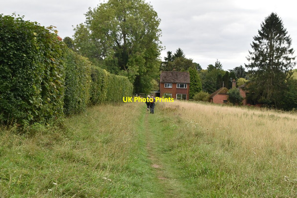 Photo 6"x4" The Chiltern Way Pheasant's Hill c2020