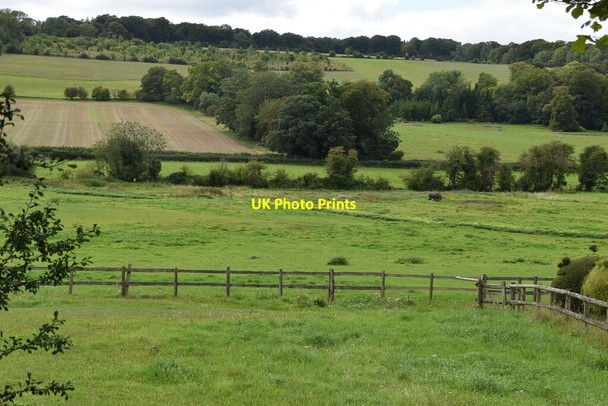 Photo 6"x4" The Hambleden Valley Pheasant's Hill c2020
