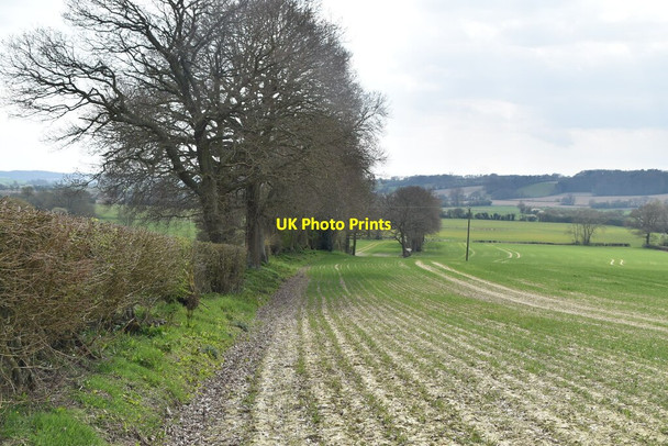 Photo 6"x4" Field edge footpath Brook Street\/TQ9333 c2021