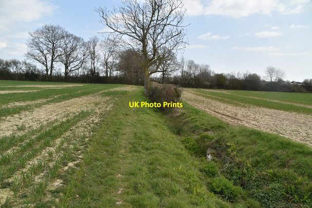 Photo 6"x4" Drainage ditch Brook Street\/TQ9333 c2021