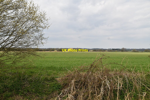 Photo 6"x4" Shirley Moor Brook Street\/TQ9333 c2021