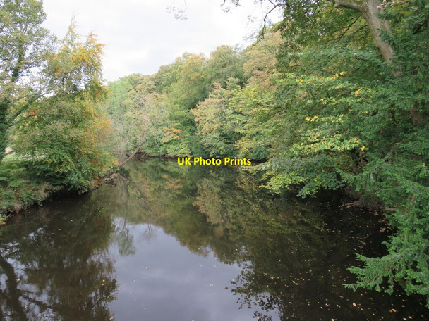 Photo 6"x4" River Nidd near Knaresborough Knaresborough c2021