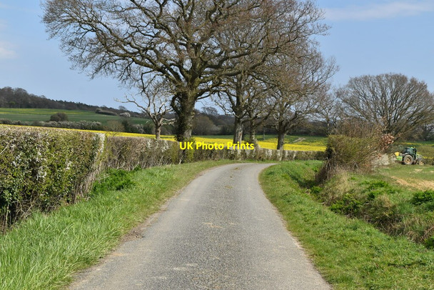 Photo 6"x4" Moor Lane Park Hill\/TQ9531 c2021 P1