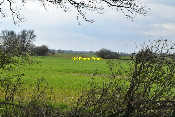 Photo 6"x4" Shirley Moor Park Hill\/TQ9531 c2021