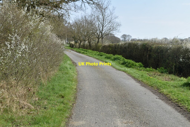 Photo 6"x4" Moor Lane Park Hill\/TQ9531 c2021