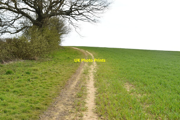 Photo 6"x4" Footpath up a gentle hill Appledore Heath c2021